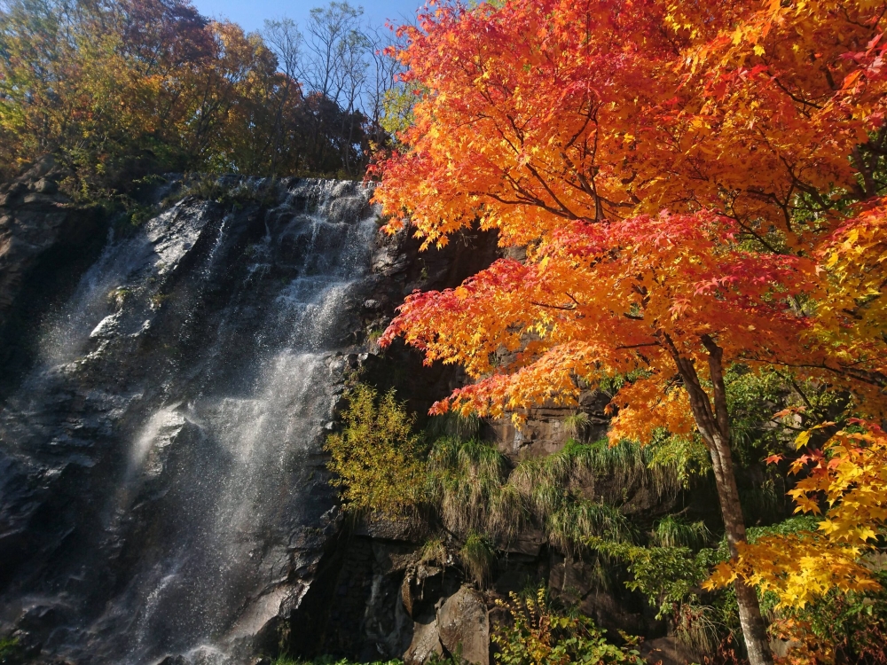 Okhotsk Gardens in autumn